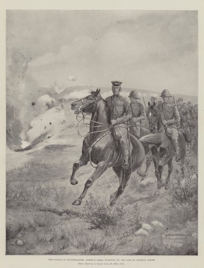 The Battle of Elandslaagte, Enemy